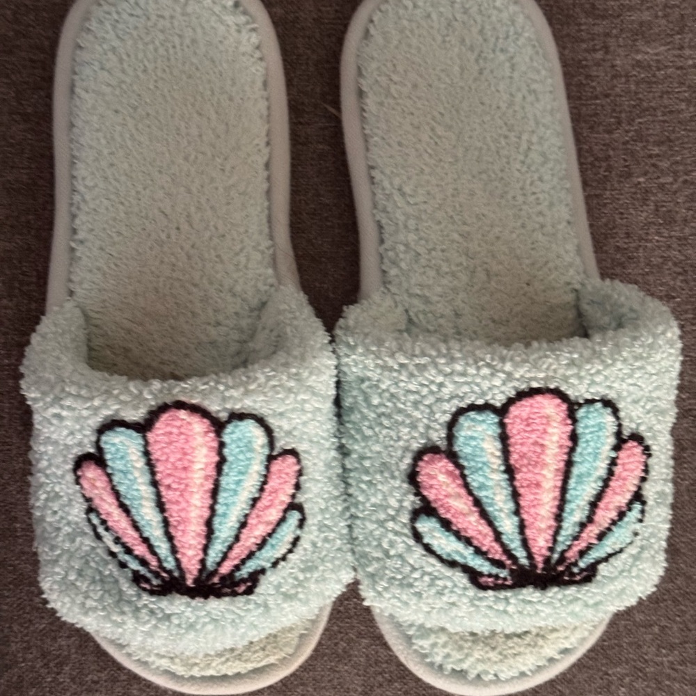 Blue Shell Slippers